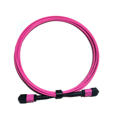 제조 12F MPO PC MPO PC OM3 3.0 3M B형 3.0mm OM3-300 광섬유 패치 코드