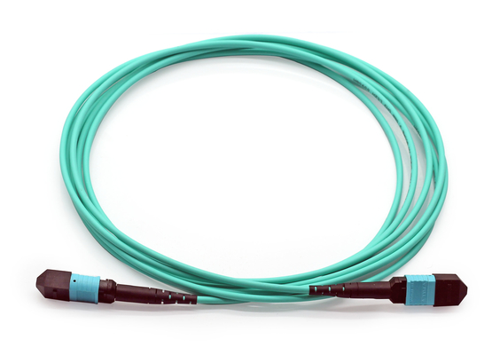 제조 12F MPO PC MPO PC OM3 3.0 3M B형 3.0mm OM3-300 광섬유 패치 코드